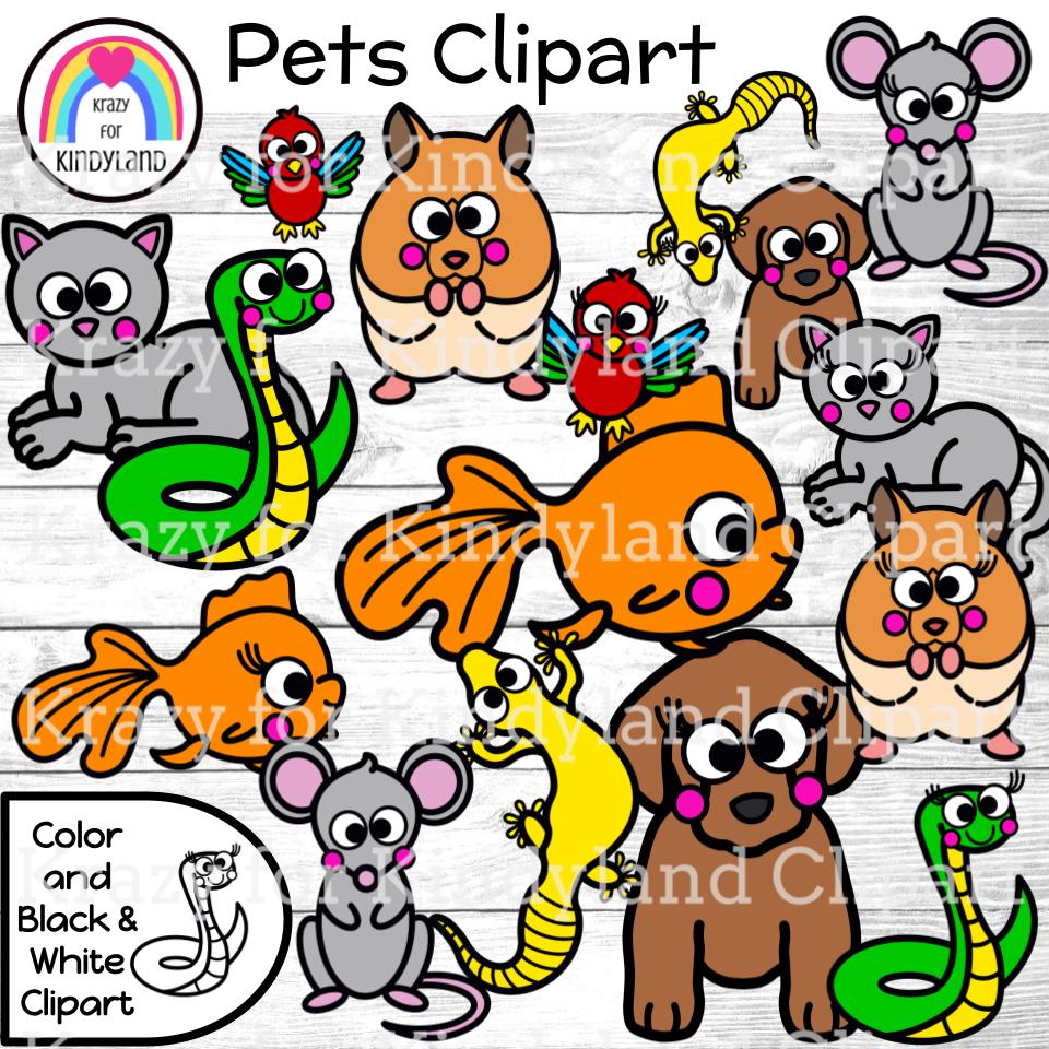 Pets Clipart {Accents for Animal, Pet Store Theme}: Dog, Cat, Gecko, Fish,  Bird